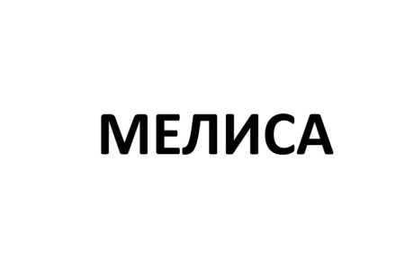 МЕЛИСА